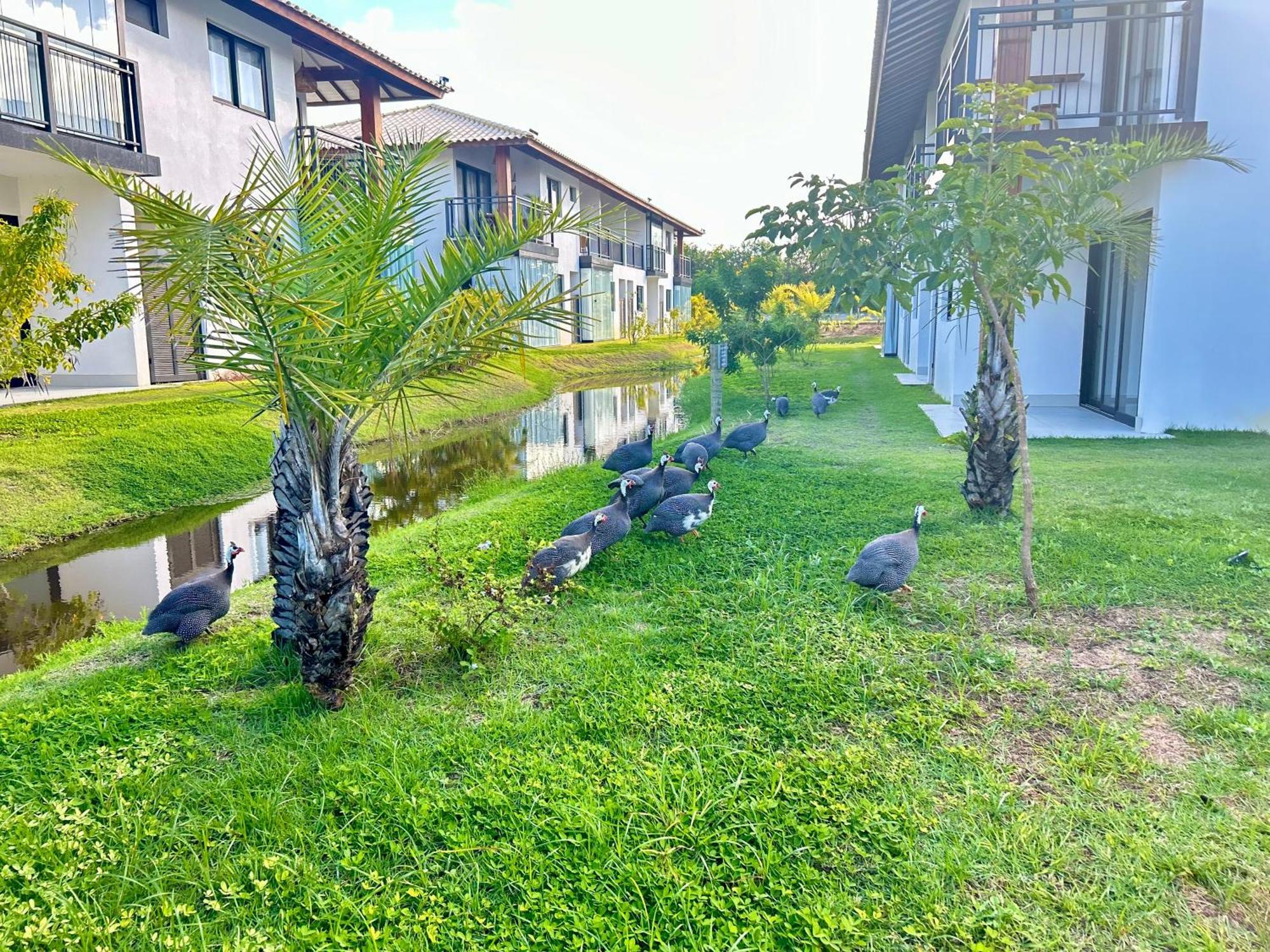 Village Encanto - 2 Quartos, Luxo, Terreo E Lindo Na Praia Do Forte Ngoại thất bức ảnh